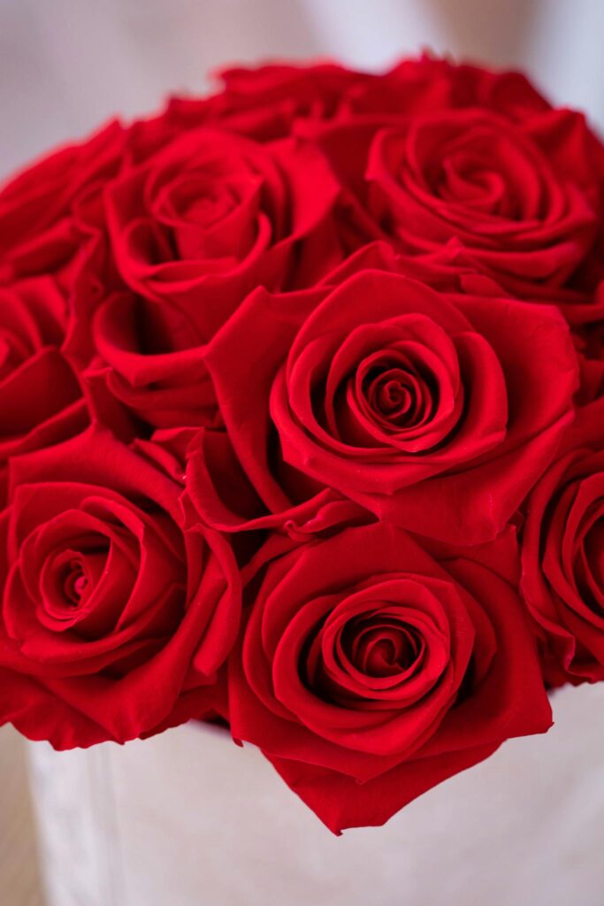 Close-up of a vibrant bouquet of red roses. Perfect for romantic occasions.